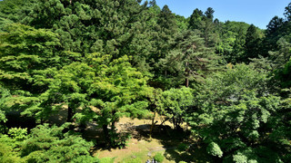 スタンダード ルーム 禁煙 ガーデンビュー