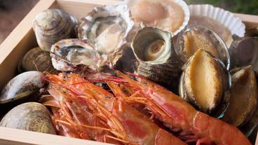 ビュッフェ / 19