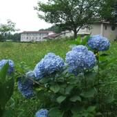 いこいの村ヘリテイジ美の山（埼玉県 リゾートホテル） / 3