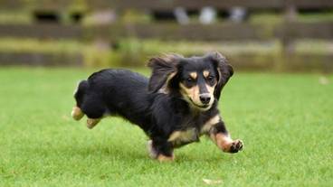 客室の設備とサービス / 19