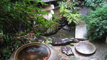 施設の敷地 / 17