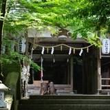 小倉神社（オグラジンジャ）