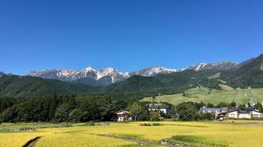 施設の敷地 / 29