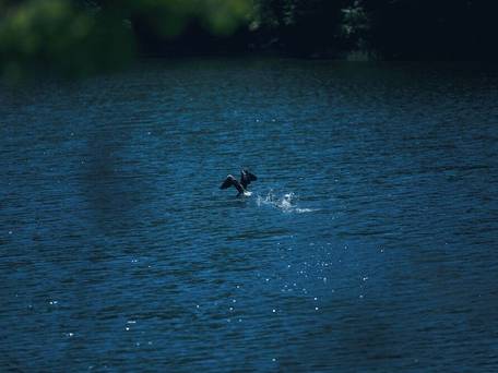 TOBE オーベルジュリゾート / 5