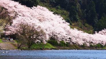 ランド ビュー / 40