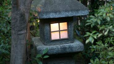 施設の敷地 / 13