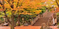 東京・朝さんぽ☆朝の時間を有意義に過ごしてみませんか？朝活におすすめ公園7選