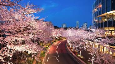 観光スポット / 11