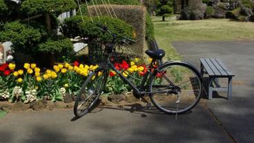 施設の敷地 / 13