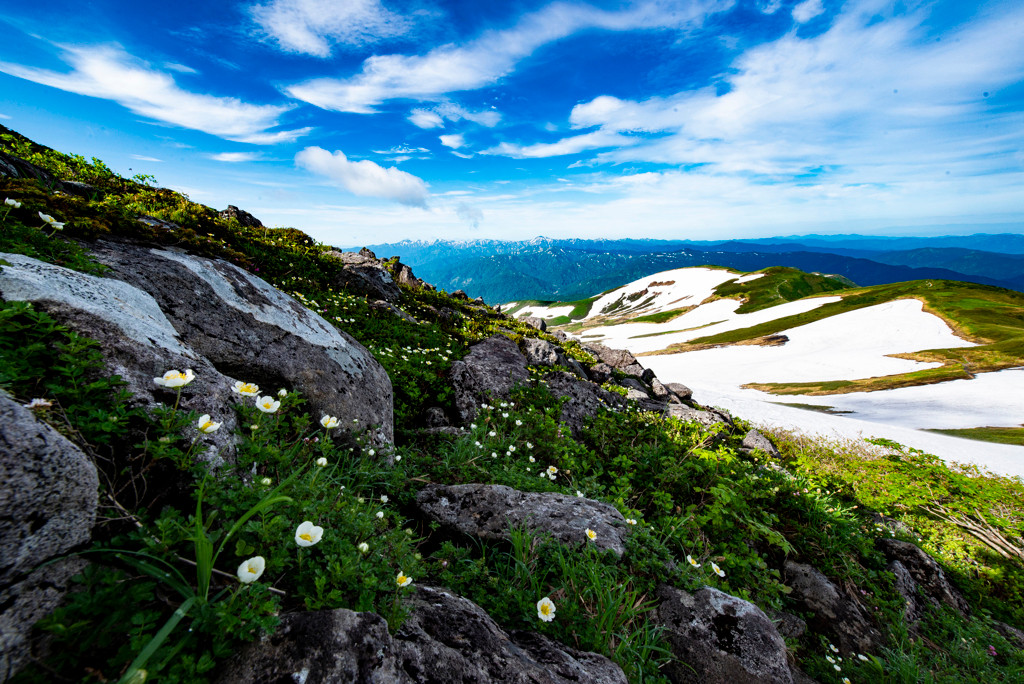 旬のキノコと月山観光が楽しめる温泉宿3638832