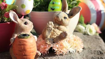 スプリングフェスタイースターカーニバル② / 1