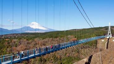 ランド ビュー / 38