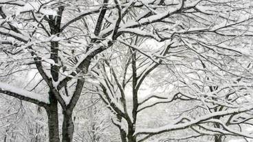 施設の敷地 / 21