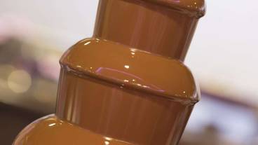 夕食バイキング／チョコレートファウンテン / 9