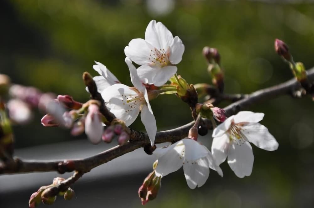 施設からの眺望