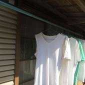 ゲストハウス 錦（埼玉県 ゲストハウス・ホステル・ドミトリー） / 2