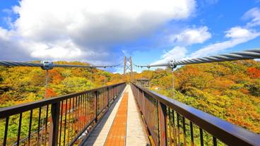つつじ吊橋 紅葉 / 5