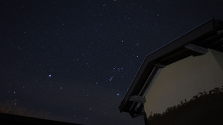 ベーシック ルーム パーシャル オーシャン ビュー