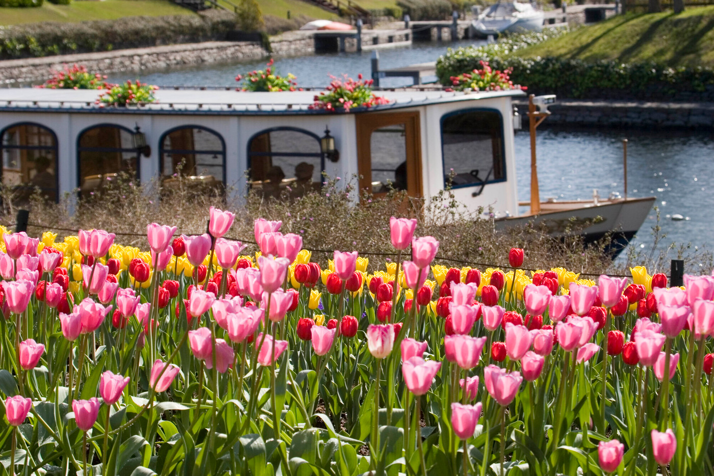 柔らかな陽の光、風に揺れる花々…。待ち遠しい春の訪れ2013867