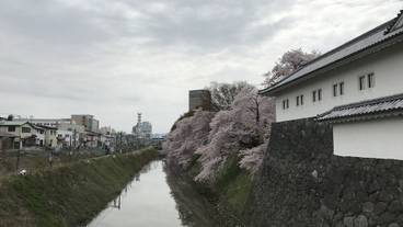 観光スポット / 15