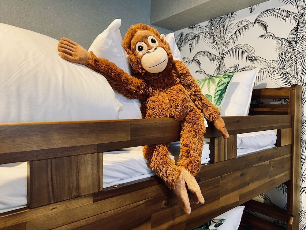 子供用の遊び場 - 屋内