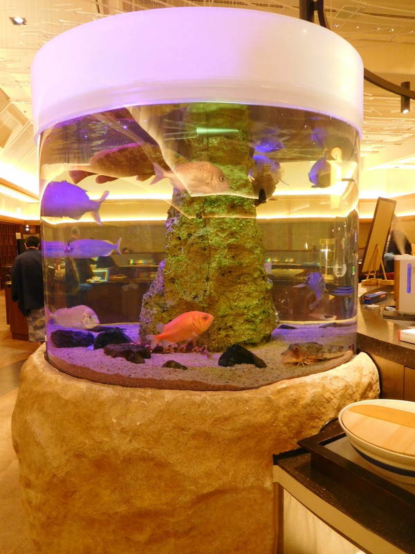 水槽の中の魚、いつか食されてしまうのかな？