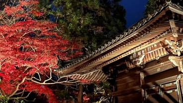 観光スポット / 9