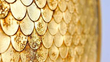 しゃちほこの鱗をモチーフとした鏡 / 7