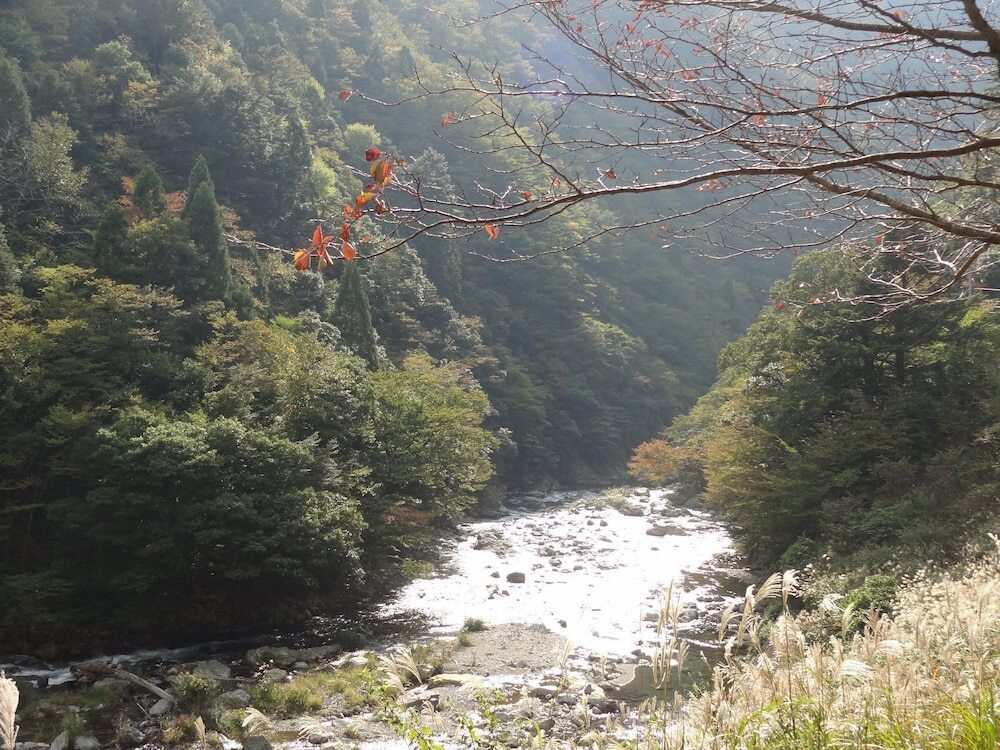 マウンテン ビュー