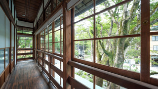 202 ベーシック ツインルーム シングルベッド 2 台 禁煙