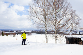 優雅な旭川家具に囲まれ、自然との調和を楽しめる宿4023748