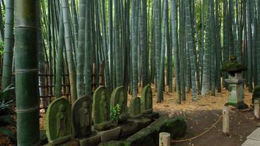 観光スポット / 12