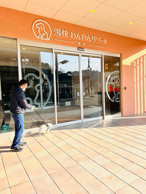 k_chirashi_さんの写真 / 1