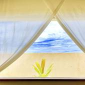 private house YOSHINO（宮古島）（沖縄県 別荘・ヴィラ・コンドミニアム） / 4