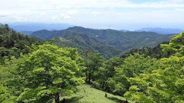 ランド ビュー / 5