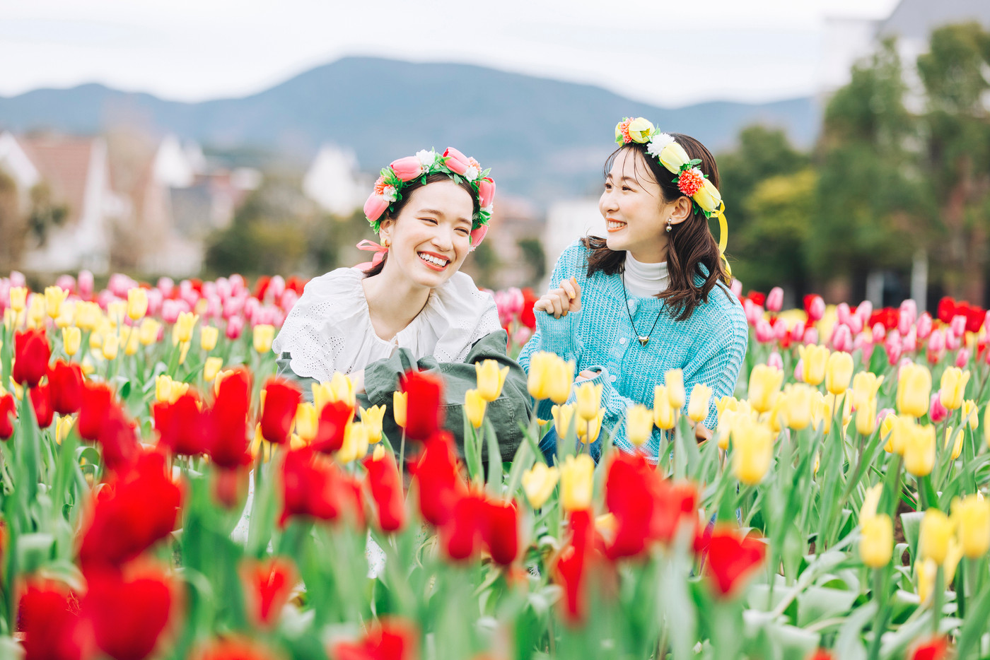 心華やぐ風車とチューリップ畑のコラボレーション♡2606686