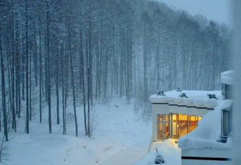 宿泊におすすめ「森のソラニワ」24981