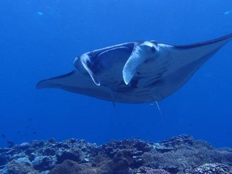 ホテルベルハーモニー石垣島 / 5