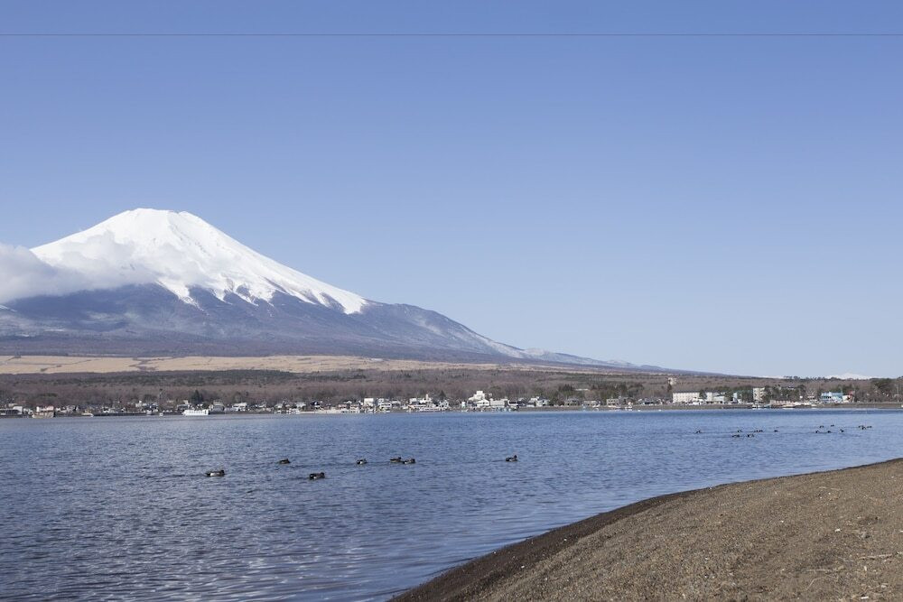 マウンテン ビュー