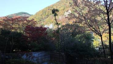 マウンテン ビュー / 23