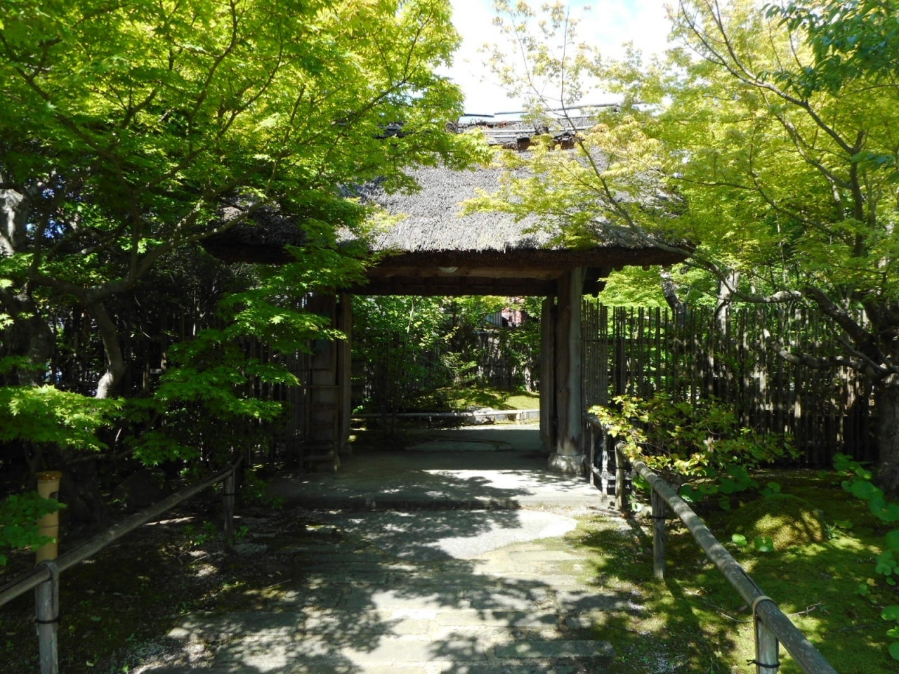 日本の伝統建築×ヨーロッパのアンティーク家具のコラボに目を奪われる3956221