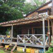 ペンション 森のガーデン 益子（栃木県 ペンション） / 3