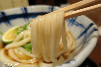「うどん棒 大阪本店」料理 575355 