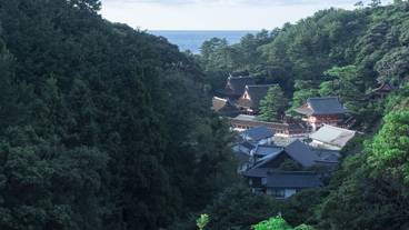 観光スポット / 11