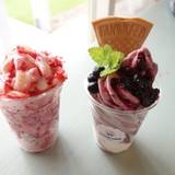 58ブルーベリーガーデン那須（ファイブエイトブルーベリーガーデンナス）