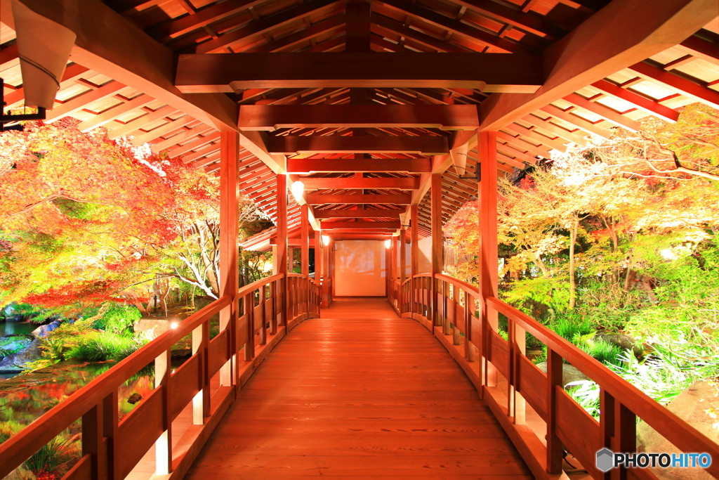 「好古園」で美しい庭園を散策1325981