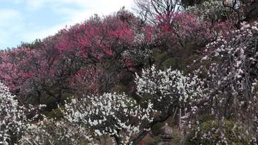 観光スポット / 5