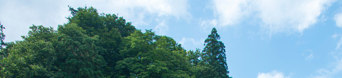 【関東】宿泊できる古民家おすすめ11選｜心やすらぐ非日常の旅を