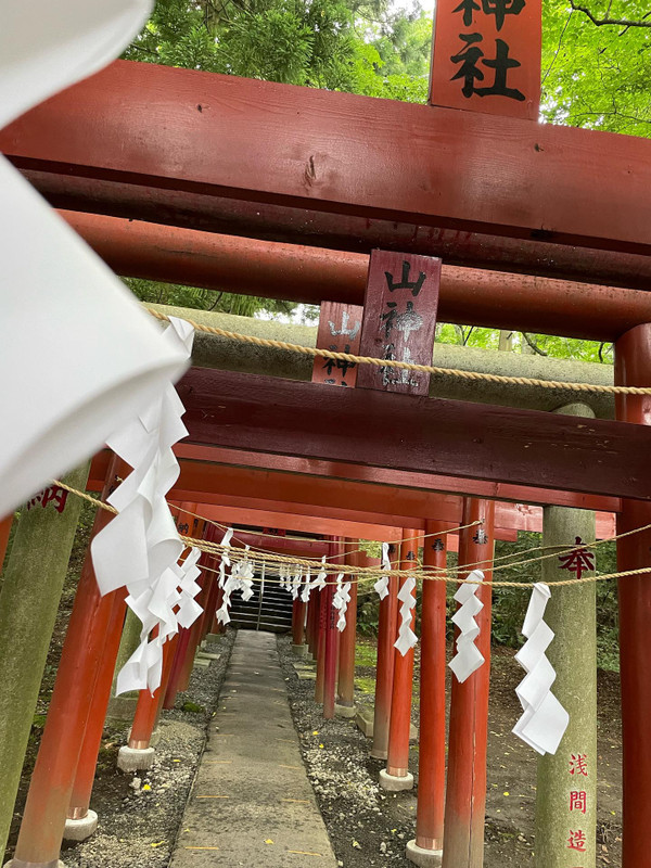 kyoko_gooさんの写真 / 1