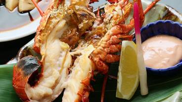 食事・飲み物 / 10